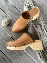 Daisy - Bird of Flight