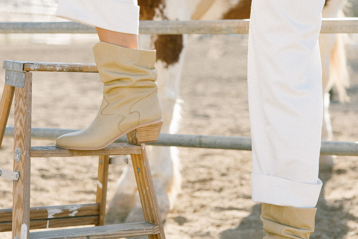 Jack - Bird of Flight