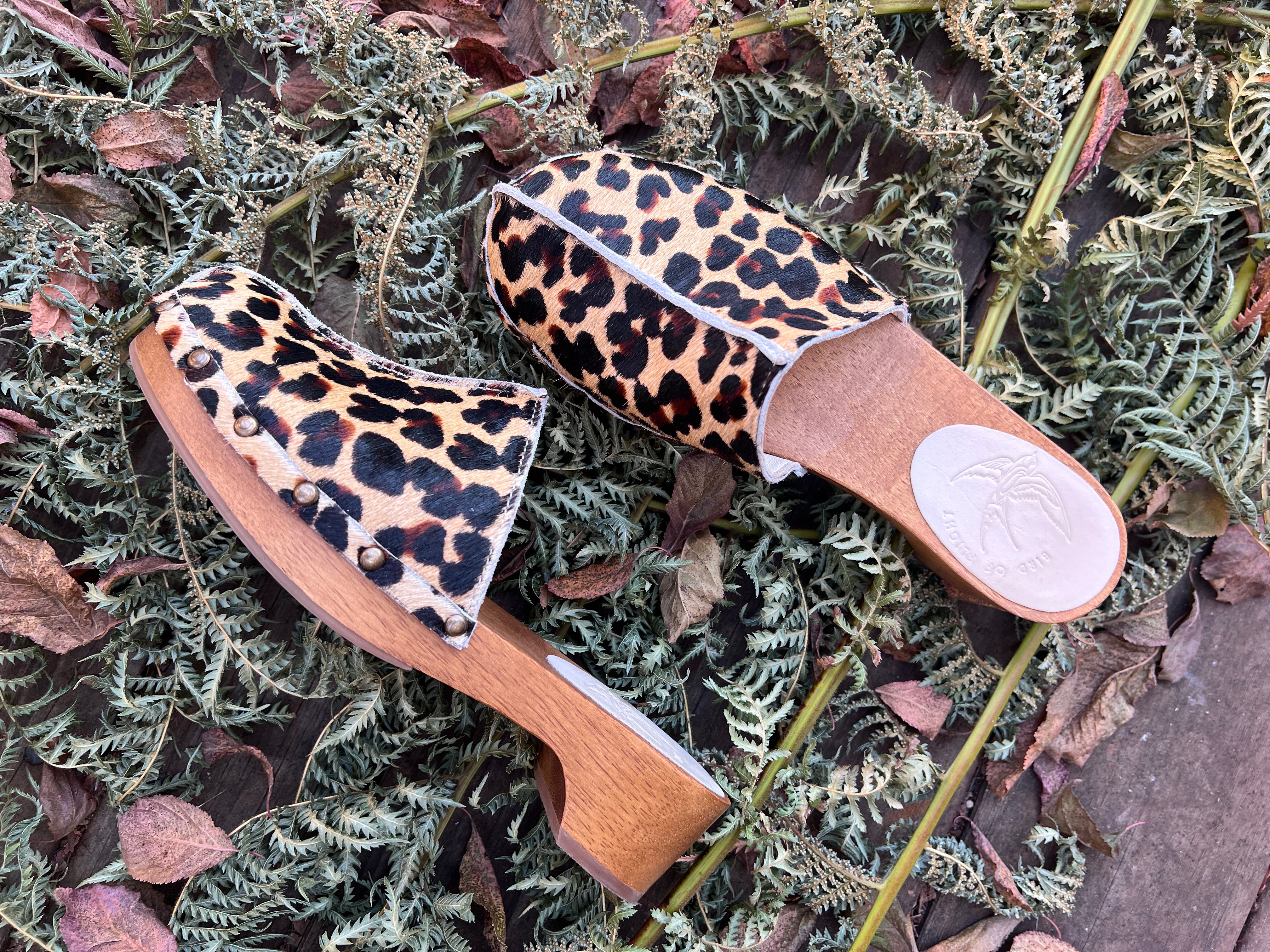 Joni Clog