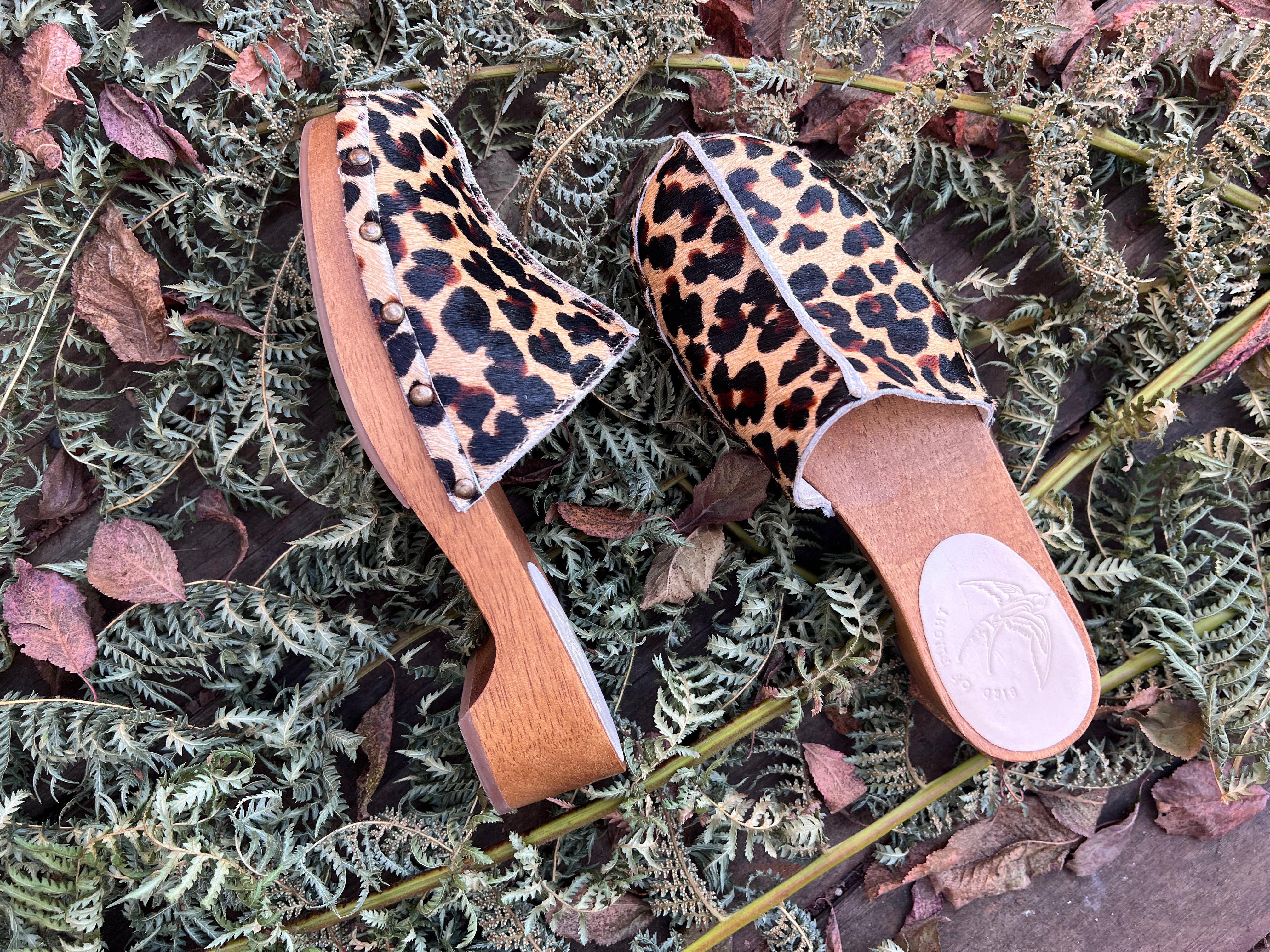 Joni Clog