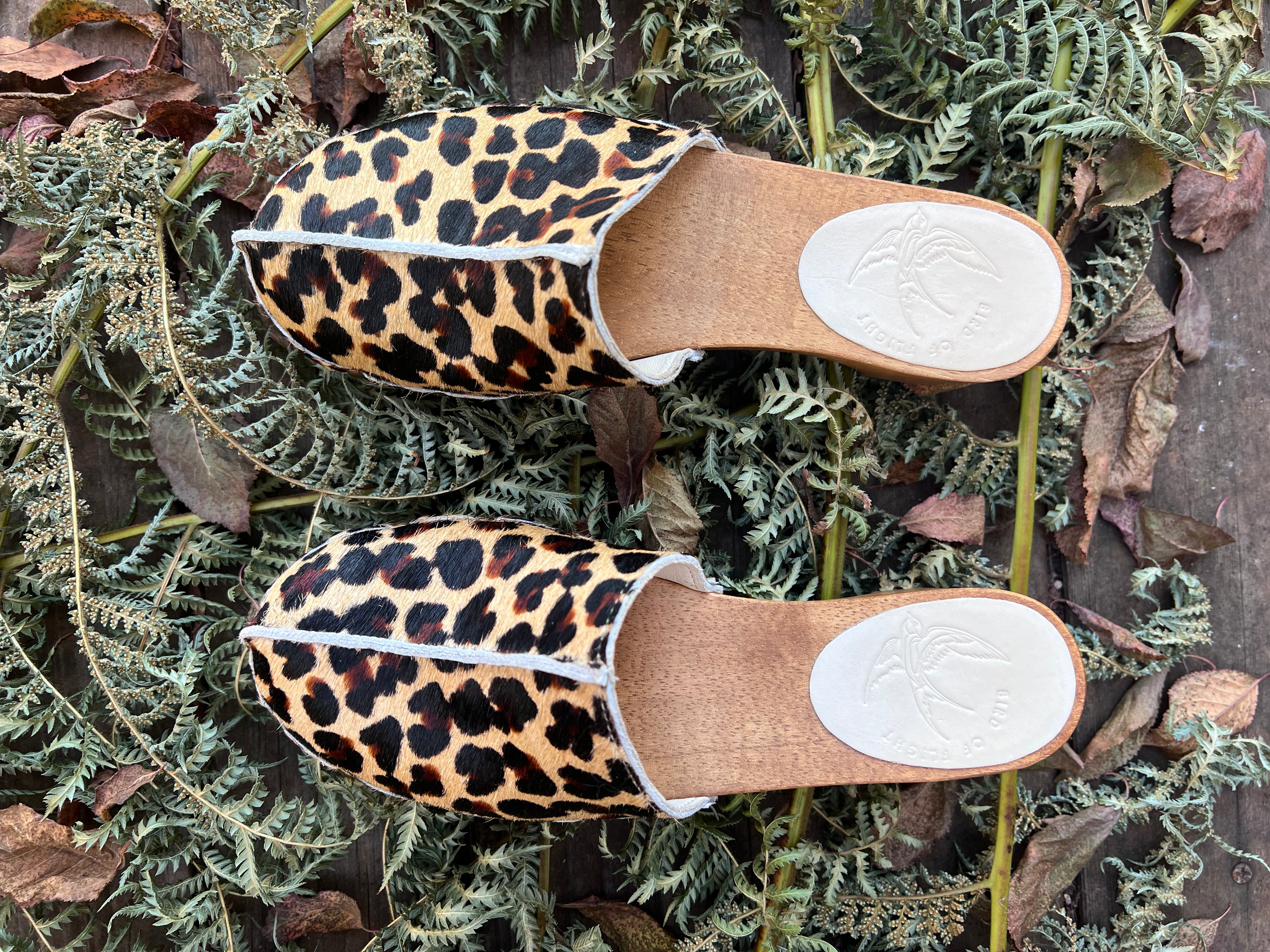 Joni Clog