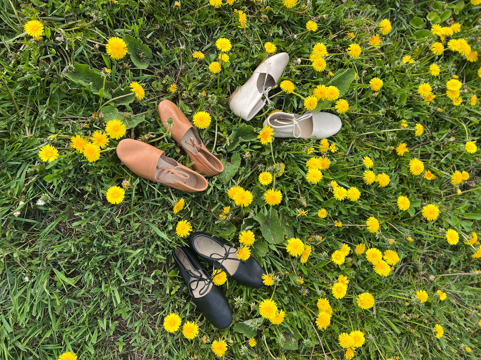 フラットシューズ AMELIE FLATS Amelie *Final Sale* – Aerosoles